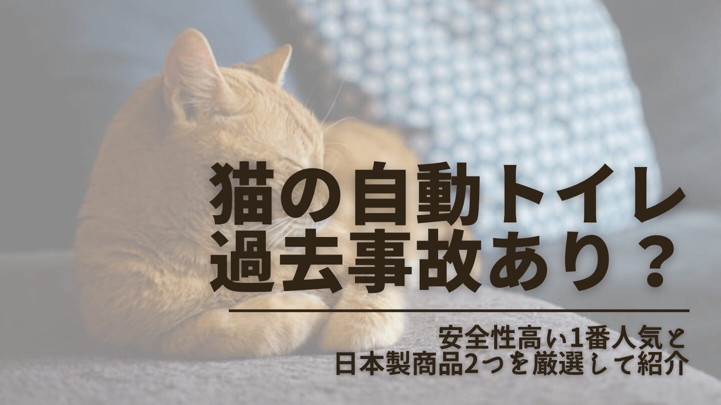 猫用自動トイレで死亡事故が発生？危険回避できる安全性が高い一番人気と日本製2つを紹介