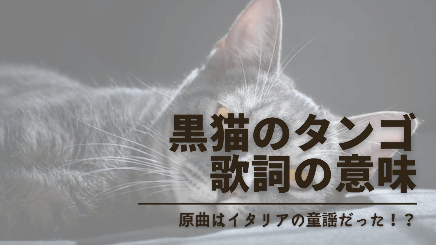 【黒猫のタンゴ】歌詞の意味が怖いって本当？原曲はイタリア語で日本と全く違う！