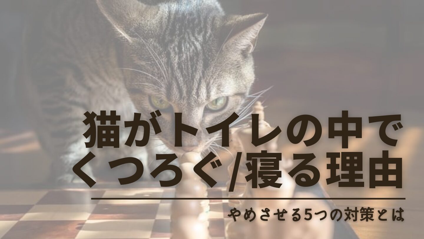 猫がトイレの中でくつろぐ/寝る理由はストレス？病気？やめさせる5つの対策を解説！