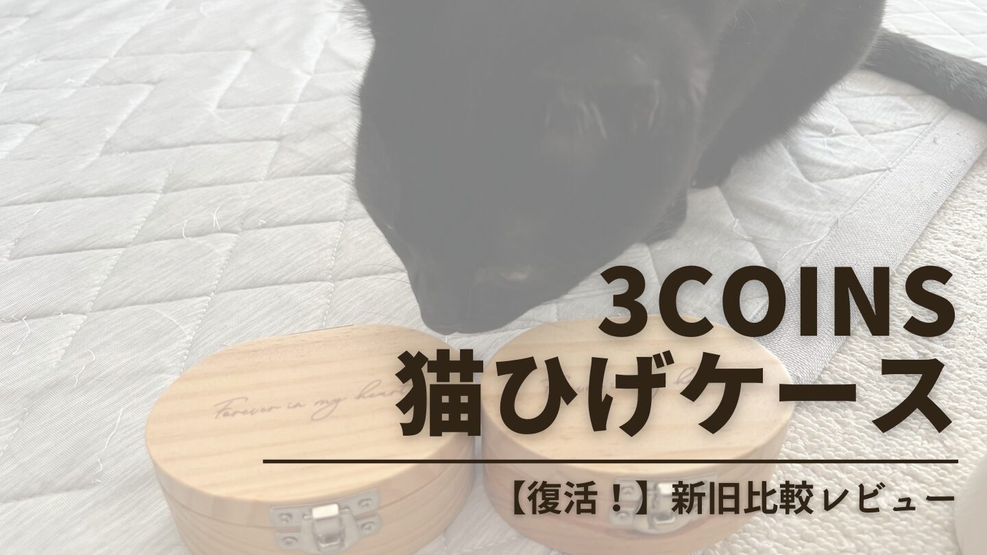 【比較レビュー】3COINSの猫ひげケース復活で再登場！新商品の魅力や注意点を紹介
