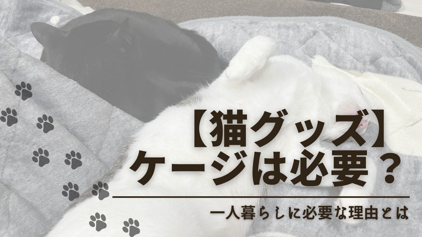 一人暮らしで猫用ケージが必要な理由は？コンパクトで人気のケージ3選を紹介