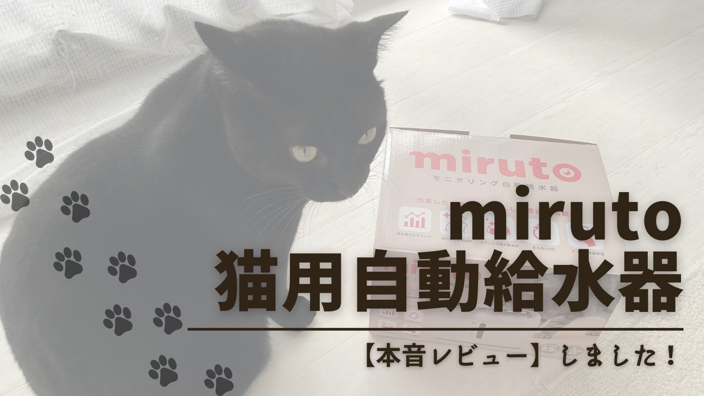 miruto自動給水器を試した結果を本音レビュー！デメリットをレンタルで確認してみた