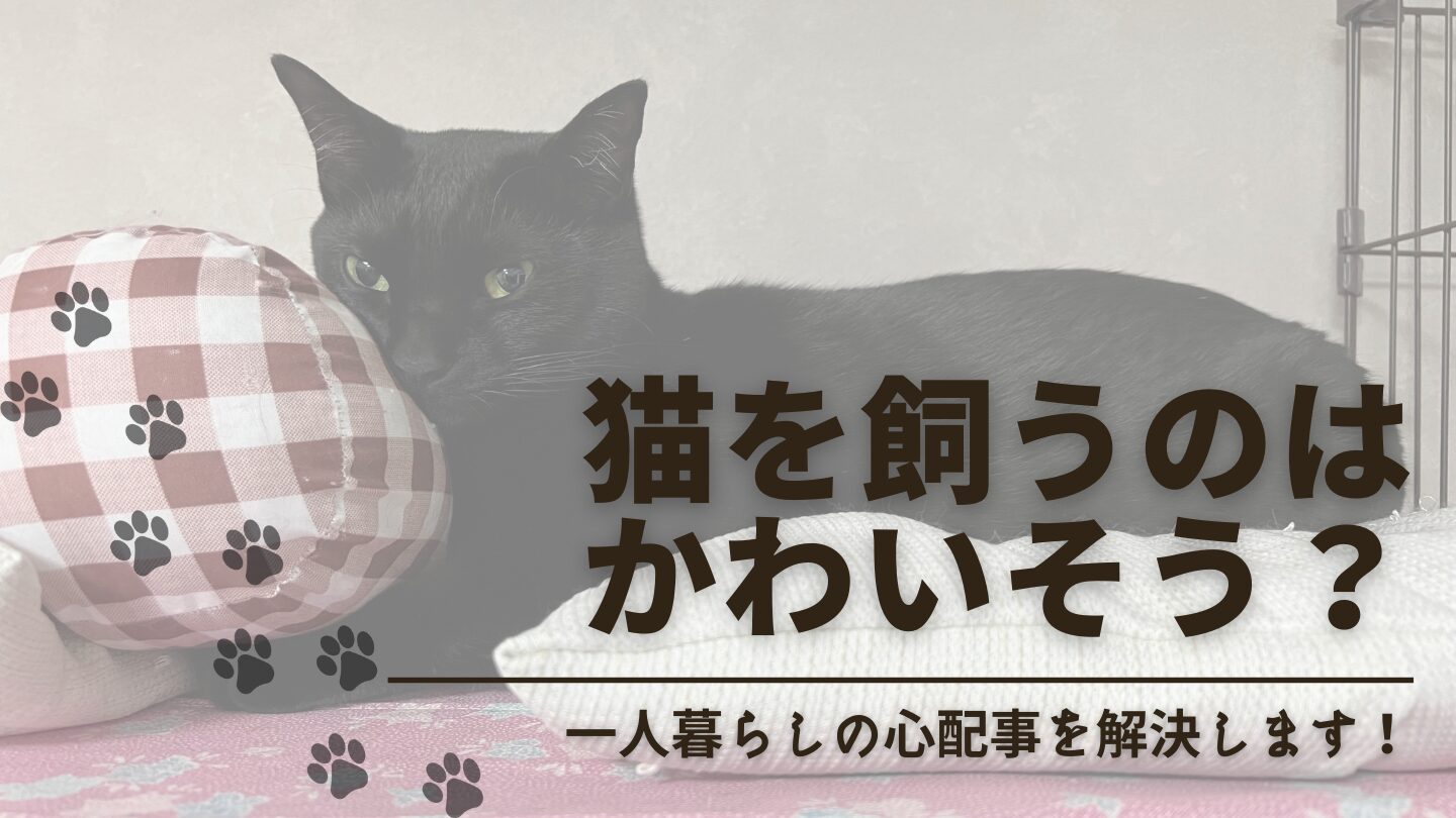 一人暮らしで猫を飼うのはかわいそう？ストレスや不安を感じないか調査！