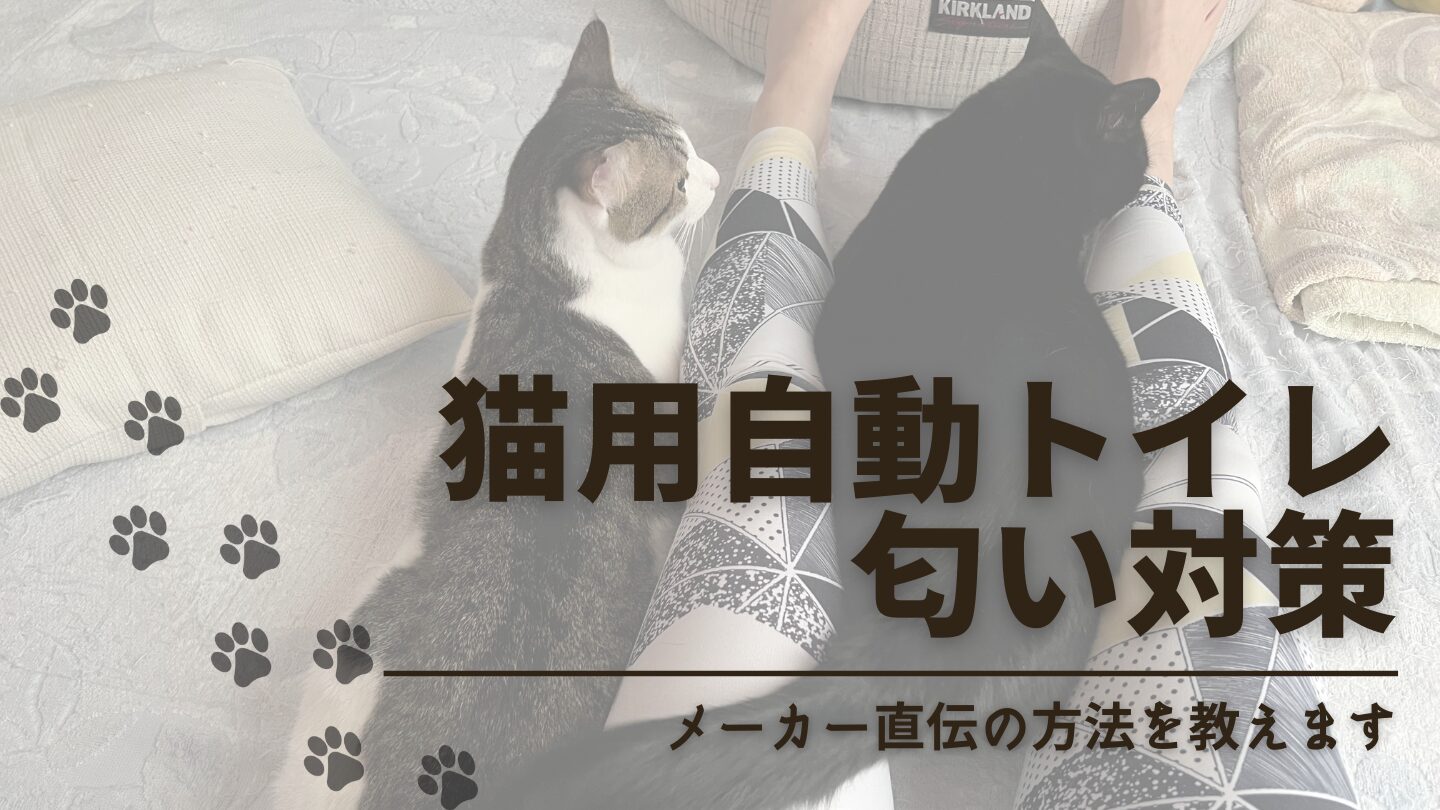 【メーカー直伝】猫用自動トイレの匂い対策はこれで解決！消臭剤に頼らず消す方法