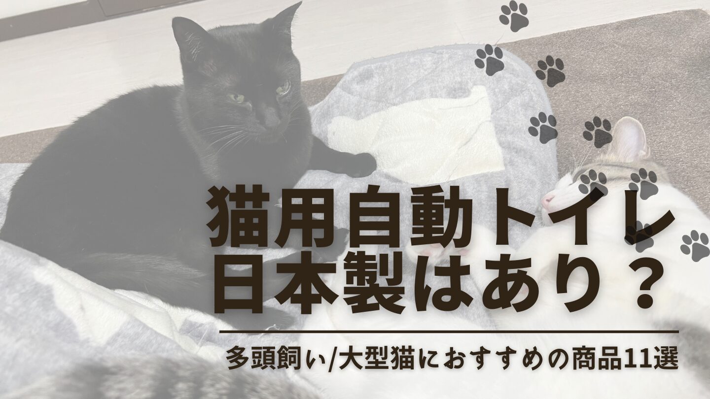 猫の自動トイレに日本製はある？多頭飼い/大型猫/レンタルでも使えるおすすめ11選を比較！