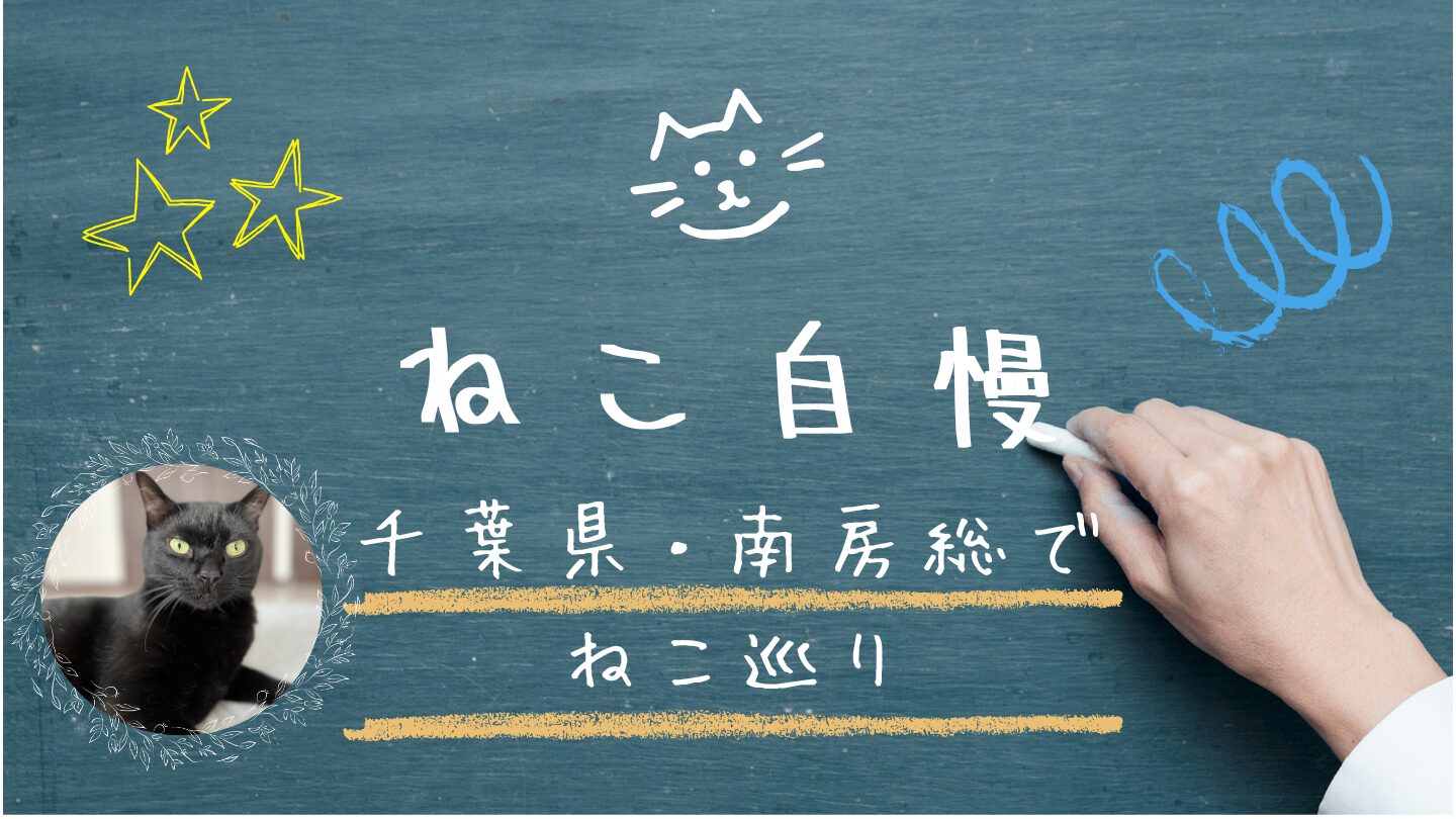 BS-TBS「ねこ自慢」千葉県・南房総でねこ巡り（2026年6月10日）
