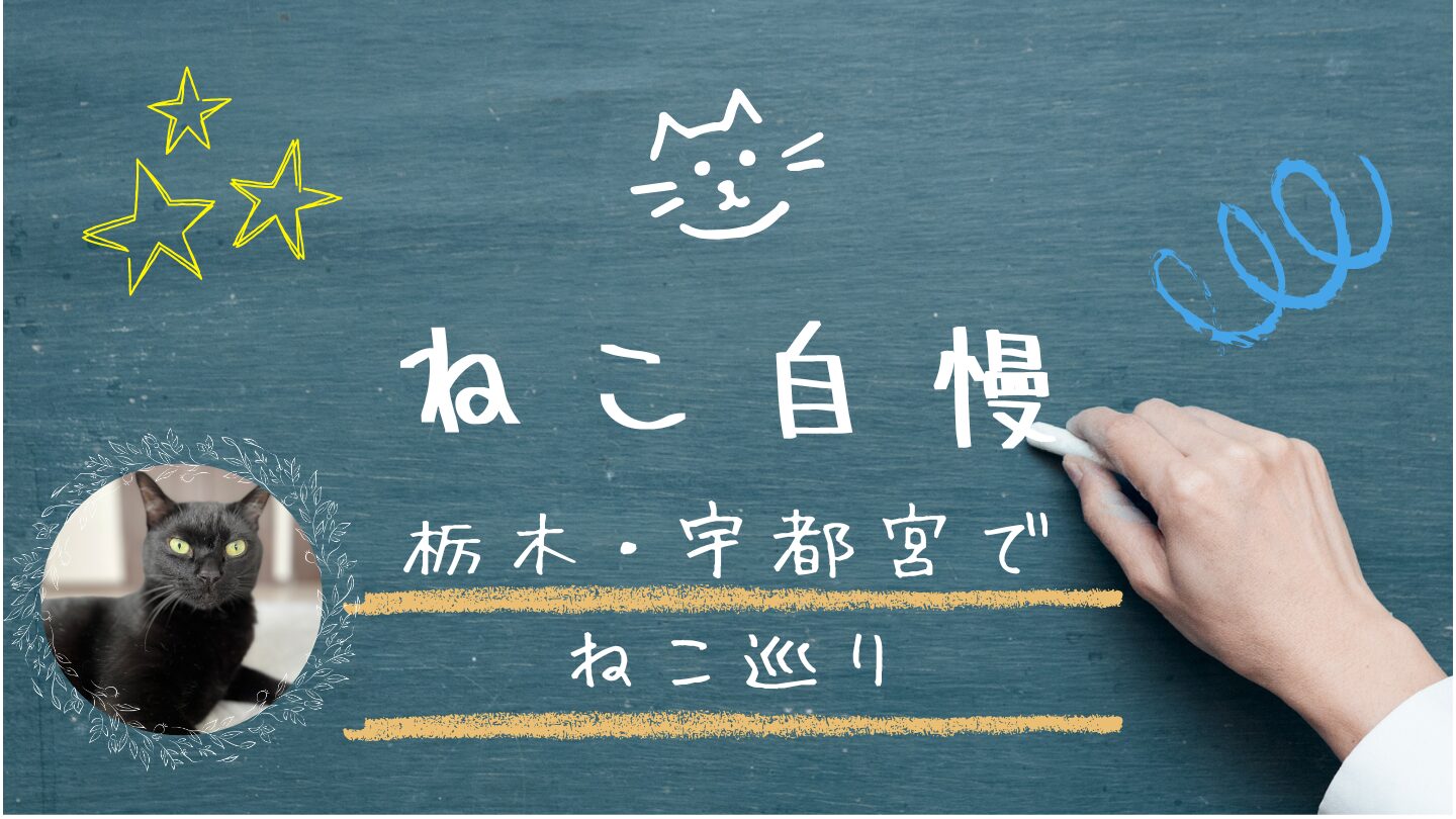 「ねこ自慢」栃木・宇都宮でねこカフェ巡り