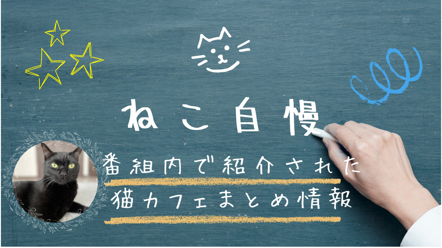 BS-TBS「ねこ自慢」で紹介されたねこカフェをまとめました。
