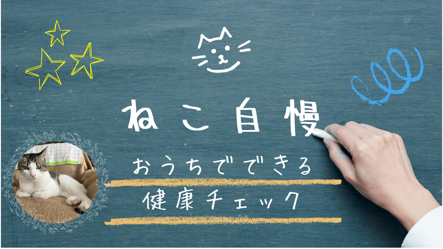 BS-TBS「ねこ自慢」おうちでできる健康チェック方法（2026年7月26日）